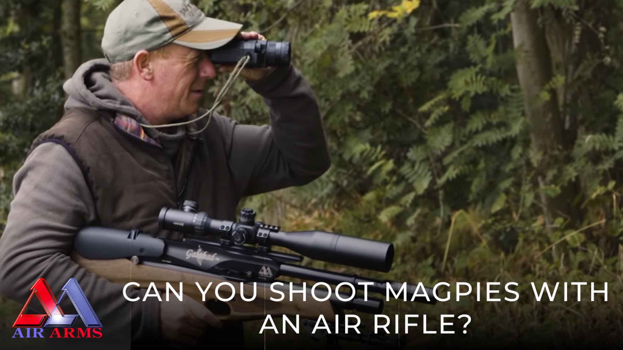 Can you shoot magpies with an air rifle?